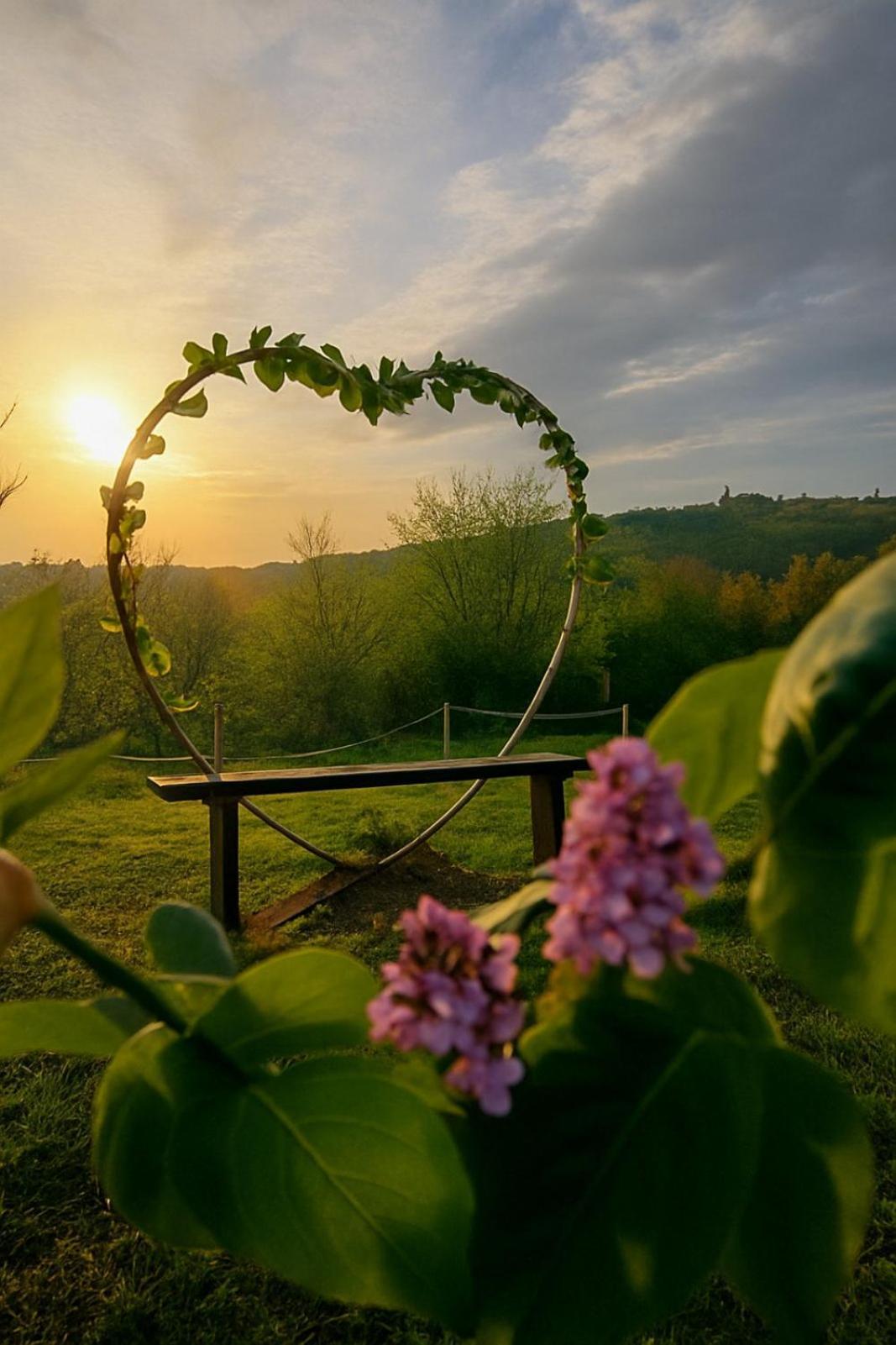 Sunny Side Fruska Gora