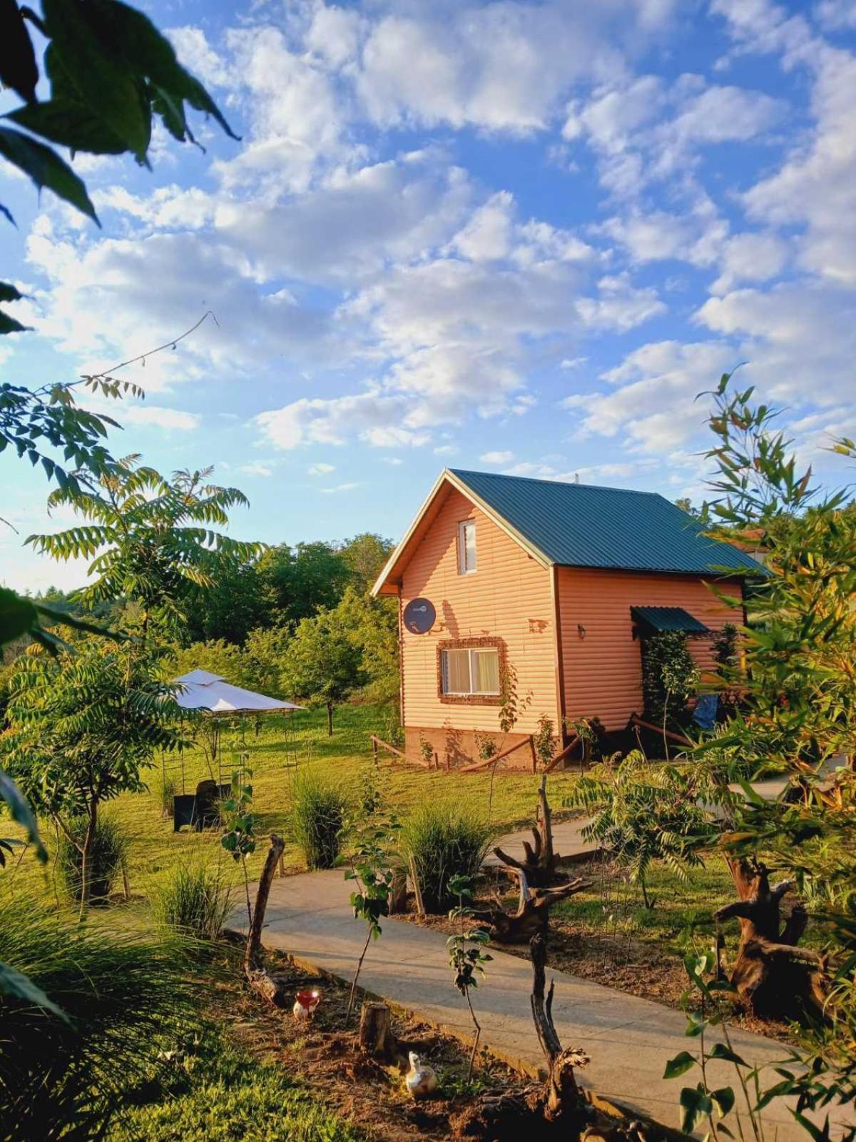 Sunny Side Fruska Gora Holiday home *